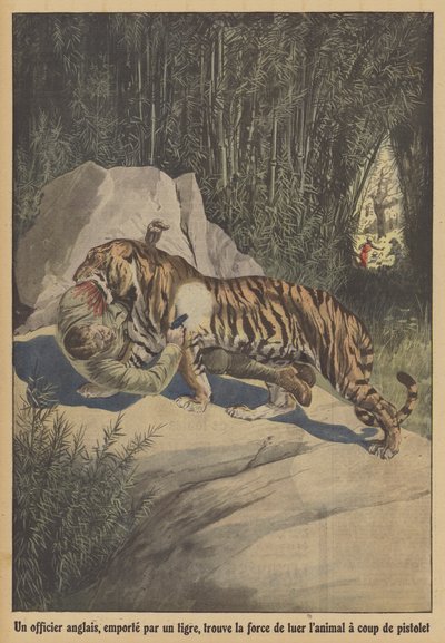 En britisk officer, båret væk af en tiger, finder styrken til at dræbe dyret med sin pistol (farve litho) af French School