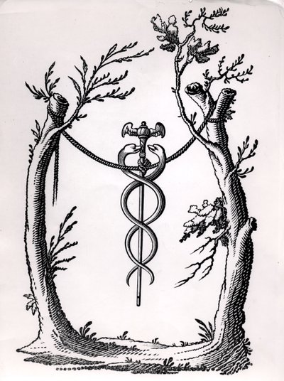 I Caduceus af French School