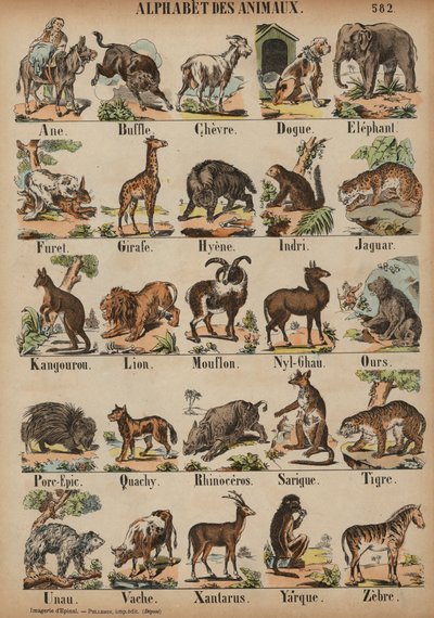 A til Z af dyr (farvet gravering) af French School