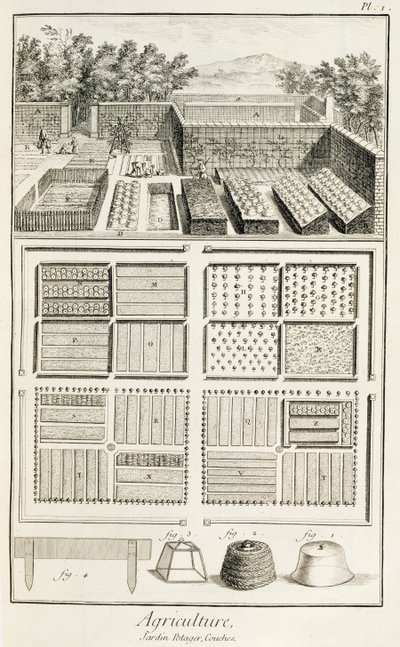 En køkkenhave fra The Encyclopedia of Science, Art and Engineering af Denis Diderot (1713-84), ca. 1770 af French School