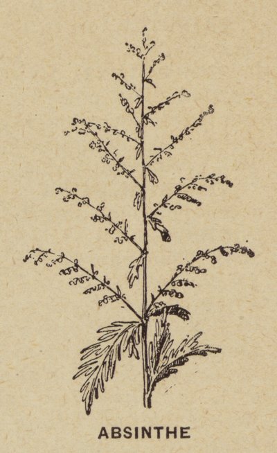 Absint (gravering) af French School