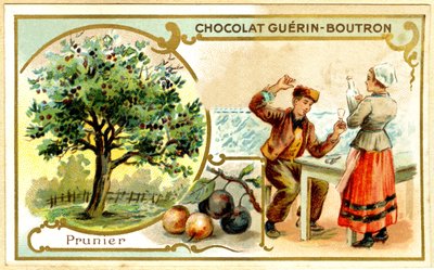 Reklamekromolitografi af Guérin Boutron-chokolader (kromolitografi) af French School
