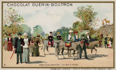 Afrikanske æsler, Jardin d