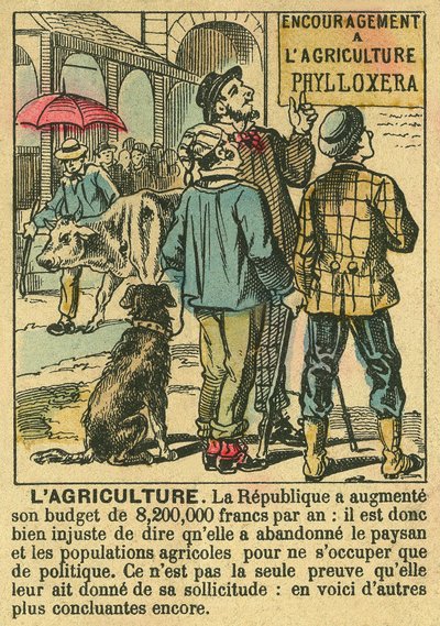 Landbrug illustrerer fordelene ved Den Tredje Republik på landbrugsinvesteringer og dens bekymring for bondebefolkningen. Gravering, i "" Le Figaro, supplement"", den 30/03/1889, Paris. Saml. Selva. af French School