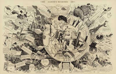 Albions mikrober (gravering) af French School