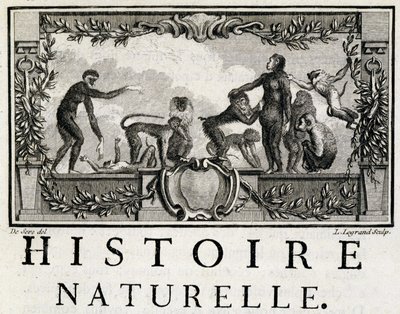 Allegori om naturhistorie på aberne - i "" Natural, generel og særlig historie"" af Buffon af French School
