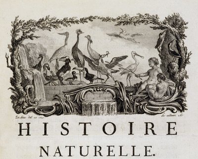 Allegory of Natural History on Birds - in "" Natural, General and Particular History"" af Buffon af French School