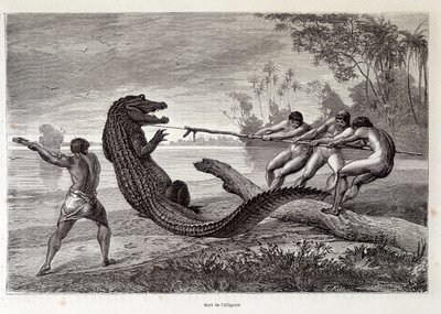 Alligator Hunt, Brasilien, "" Jorden rundt"" 2. uge 1874. af French School