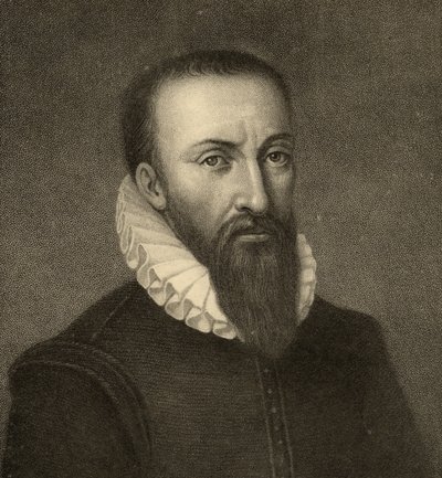 Ambrose Pare (1510-90) af French School