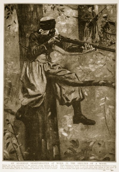 En algerisk skarpskytte på arbejde i ly af en skov, 1914-19 af French School