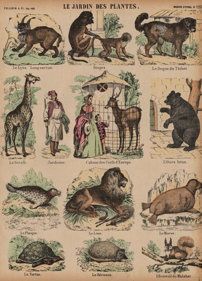 Animals of the Jardin des Plantes, Paris, Francedani af French School