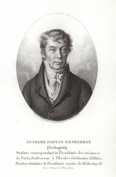 Anselme Gaetan Desmarest af French School