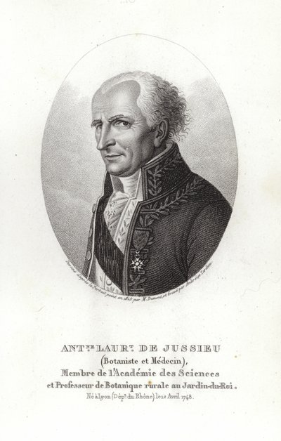 Antoine Laurent de Jussieu af French School
