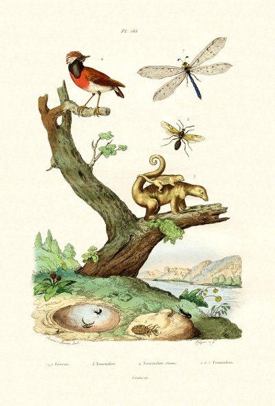 Myrer, 1833-39 af French School