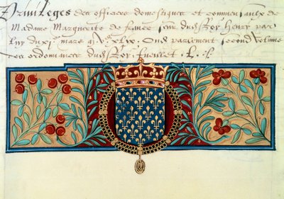 Armes de France (omgivet af halskæden af Saint Michel Ordenen (Saint Michel) og overvundet af den kongelige krone) af French School