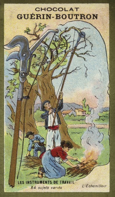 Averruncator af French School