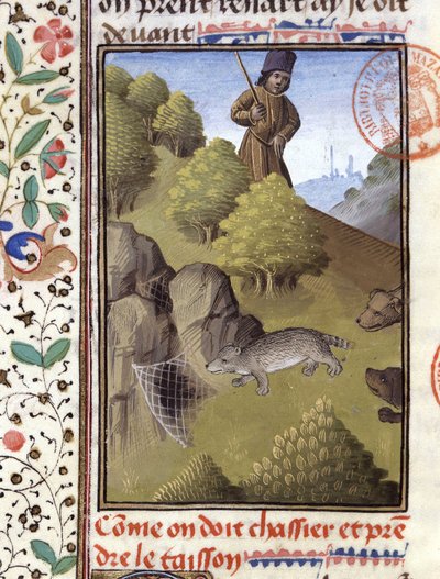 Grævlingjagt - i "" Jagtbog af Gaston Phoebus, greve af Foix, Lord of Béarn"" af French School