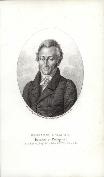 Benjamin Gaillon af French School