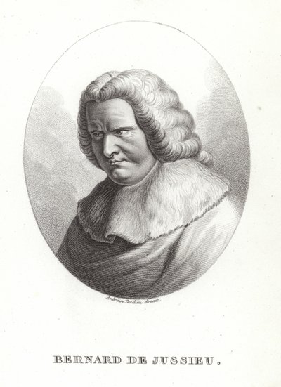 Bernard af Jussieu af French School