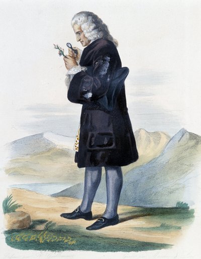 Bernard de Jussieu - i Ed. Mennechet, "Den franske Plutarch"" af French School