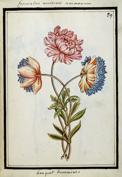 Bouquet of Anemones, c.1700dani af French School