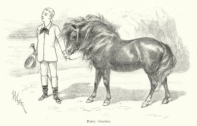 Dreng med en irsk pony (gravering) af French School