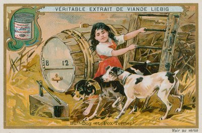 Bulldog og Fox Terrier af French School
