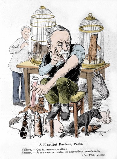 Tegneserierepræsentation af videnskabsmanden Louis Pasteur, opfinderen af vaccinen mod rabies, der vaccinerer sig mod preussiske dekorationer. Udgivet i "Der Floh"" af French School