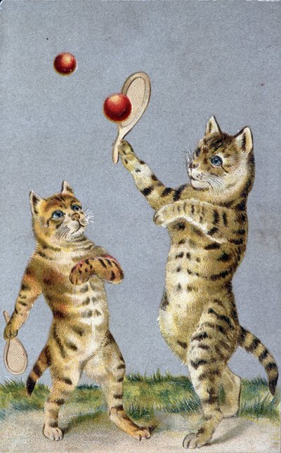 Katte, der spiller tennis - postkort tidligt i det 20. århundrede. af French School