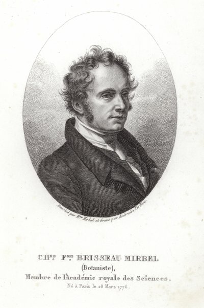 Charles-François Brisseau de Mirbel von French School