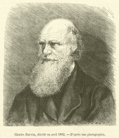 Charles Darwin, decede en april 1882 (gravering) af French School
