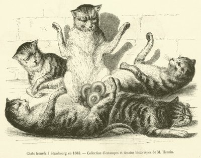 Katte fundet i Strasbourg i 1683 (gravering) af French School
