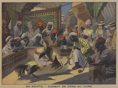 Hanekamp i Kairo (farve litho) af French School