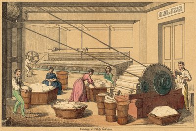 Bomuld (farvet gravering) af French School
