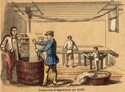 Bomuld (farvet gravering) af French School