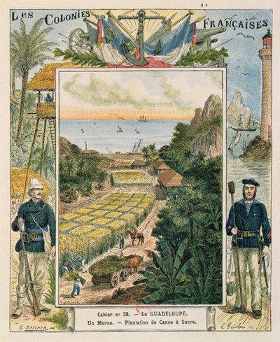Forside til en skolebog, der viser en sukkerrørsplantage i Guadeloupe, 1892 af French School