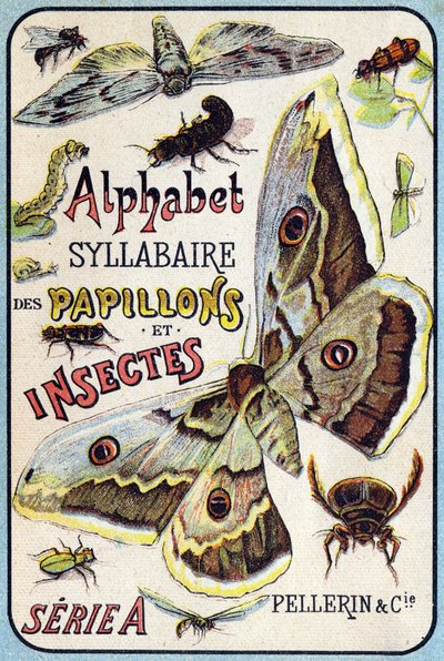 Omslag til "Syllabary alfabet af sommerfugle og insekter"". Serie A. Pellerin et Cie, trykkerier-forlag, Epinal, slutningen af det 19. århundrede. Kromolitografier. Lille 8-siders reklamealbum indeholdende et pensum og et billedsprog ledsaget af beskrivend af French School