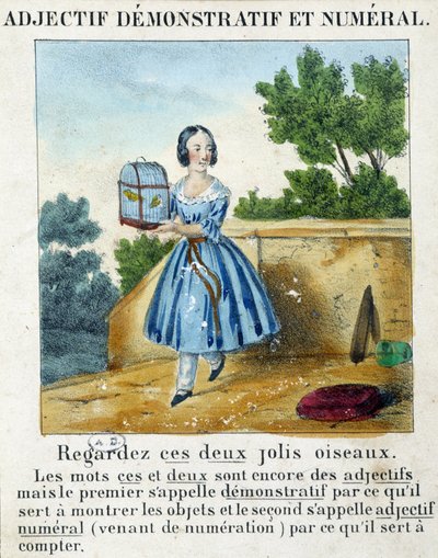 Demonstrativt og numerisk adjektiv (en pige, der bærer et bur med 2 fugle) - i "" La grammaire en images"" af French School