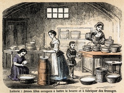 Beskrivelse af de forskellige jobs og fåreprodukter: unge mælkeproducenter, der laver smør og oste på et mejeri. Tavle "" Les Moutons"" i "" les Recreations instructives"" Synoptisk maleri af Jules DELBRUCK, gravering fra 1860. Privat samling. af French School
