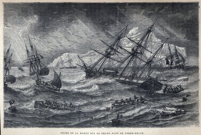 Opdaget Canada: Torskefiskeri på Grand Bank of Newfoundland, Newfoundland. Indgravering fra slutningen af det 19. århundrede i "La nouvelle France" af Eugene Guenin. af French School