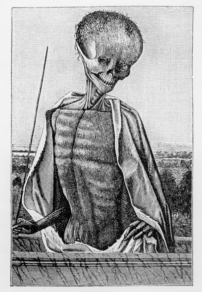 Doctor Death, fra en timebog, illustration fra videnskab og litteratur i middelalderen og renæssancen, skrevet og indgraveret af Paul Lacroix, 1878 af French School