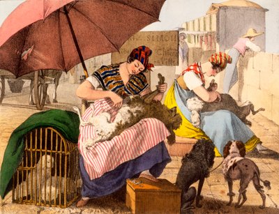 Hundefrisør, 1820 af French School