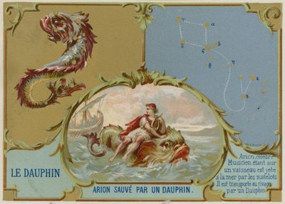 Delfin - Arion bliver reddet af en delfin af French School