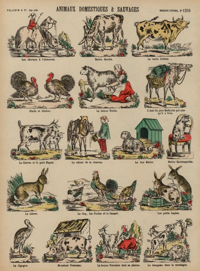 Domesticated and wild animalsdani af French School