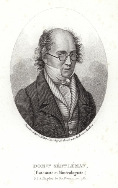 Dominique Sebastion Leman af French School