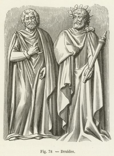 Druider af French School