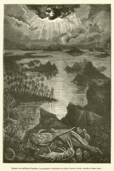 I løbet af disse millioner af år var klodens første indbyggere stumme, døve og uden sex (gravering) af French School