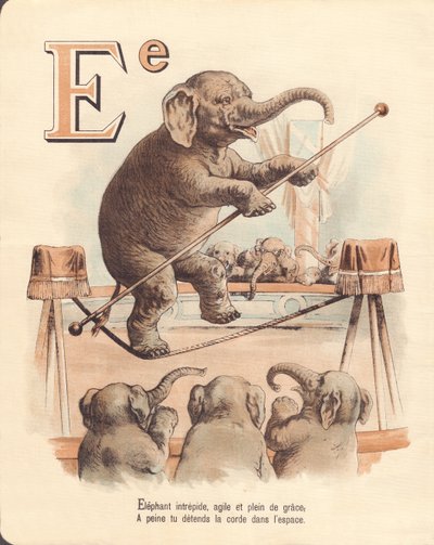 E: Elefant, ekvilibristisk frygtløs elefant, adræt og fuld af ynde, slapper knap nok af i rebet i rummet af French School