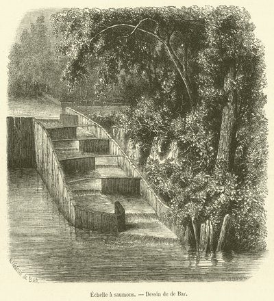 Laksestige (gravering) af French School