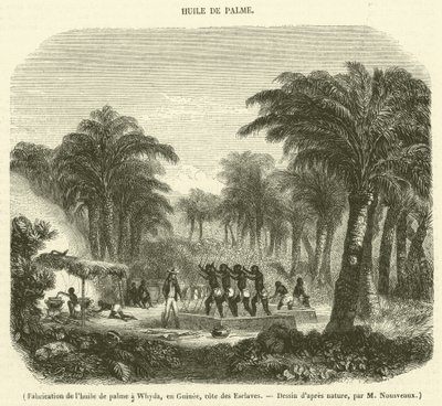 Fremstilling af palmeolie i Whyda, Guinea, Slave Coast (gravering) af French School